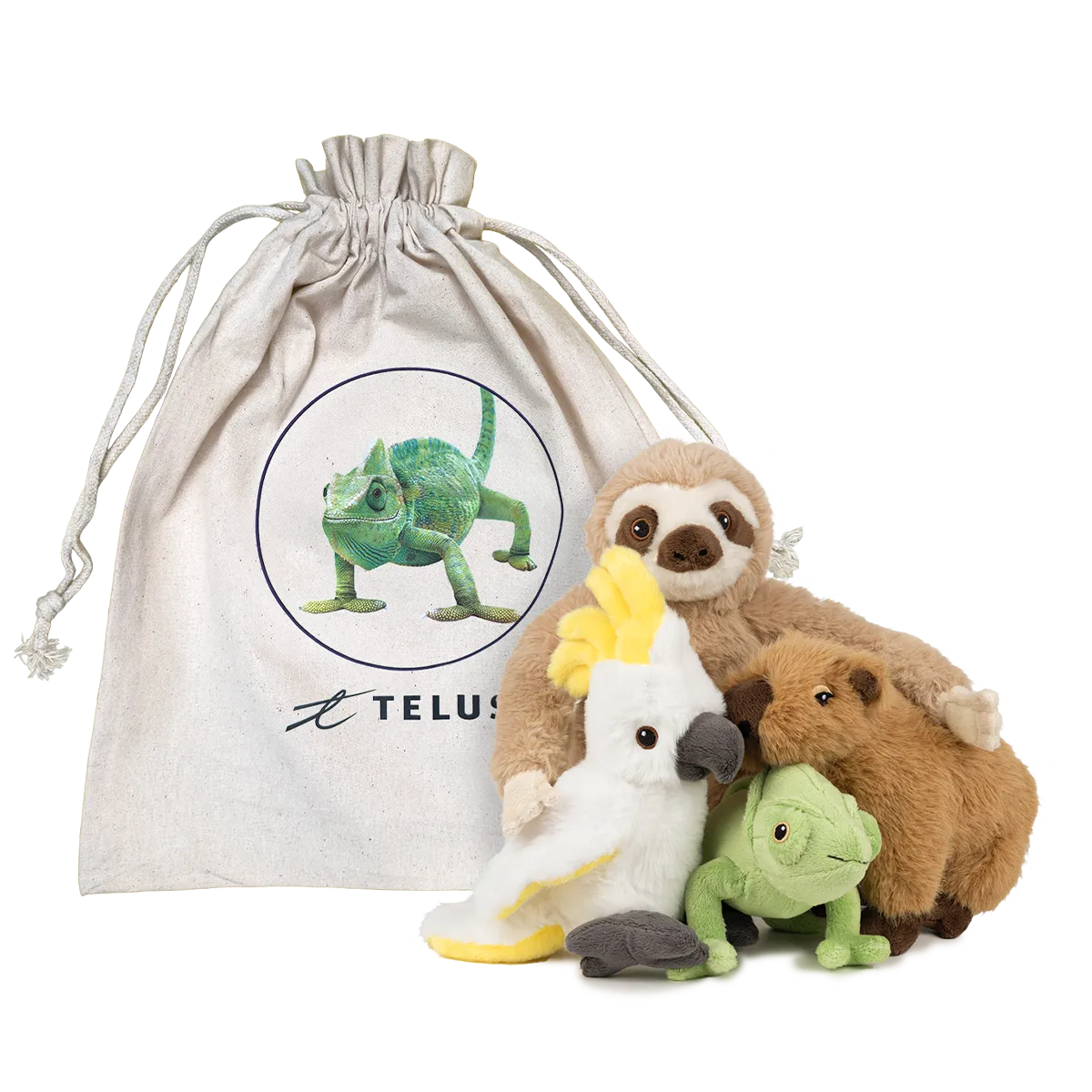 Critter Multipack Collection